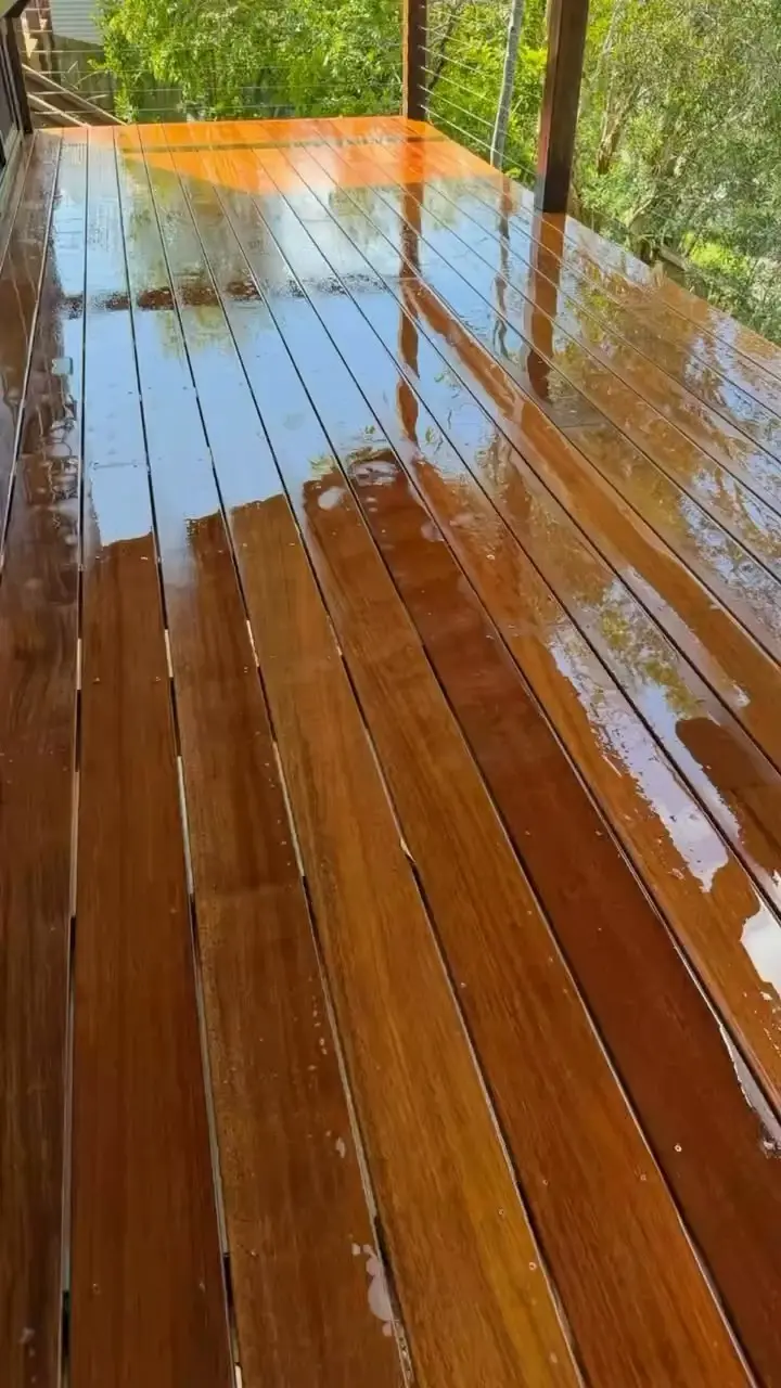 Timber deck boards, wet and glossy, running out to a wire balustrade with trees beyond.